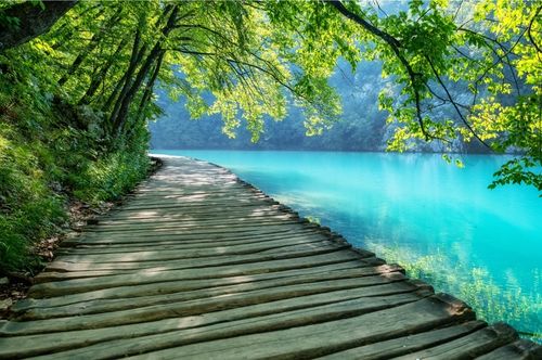 pathway by water pathway by water